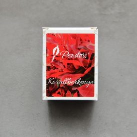 Tinta 50ml, "Korallberkenye " Piros